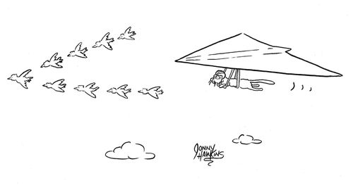Cat in hang glider chases birds in formation.