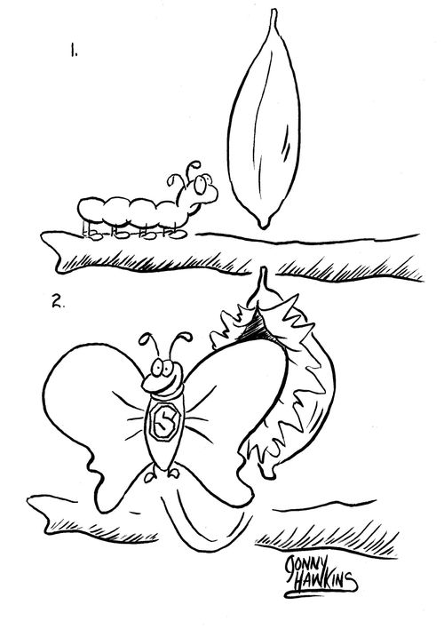 Caterpillar emerges from cocoon as a 'Super Butterfly'.