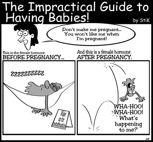 The Impractical Guide to Having Babies: 'Female hormone before and after pregnancy.'