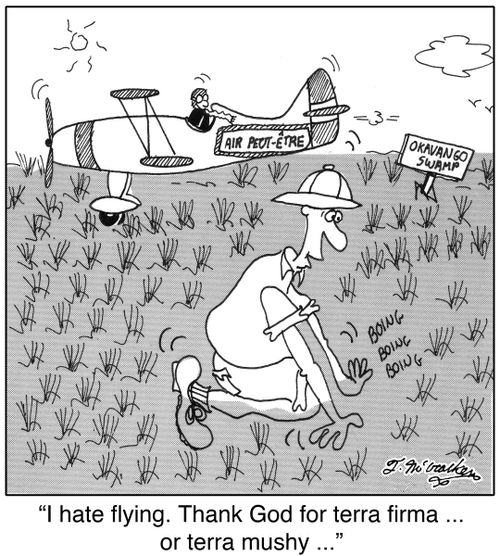 'I hate flying. Thank God for terra firma ... or terra mushy ...'