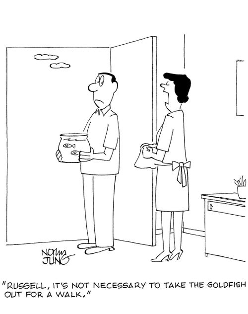 'Russell, it's not necessary to take the goldfish out for a walk.'