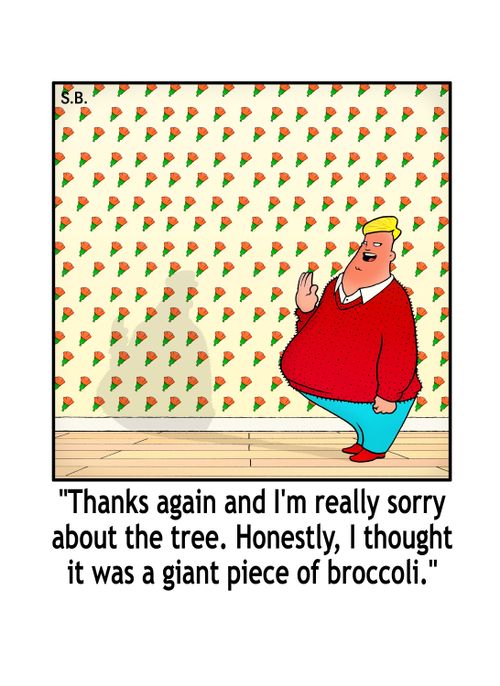 Thanks again and I'm really sorry about the tree. I thought it was a giant piece of broccoli.