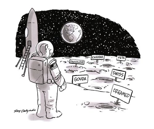 Moon Cheese