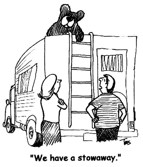 'We have a stowaway.'
