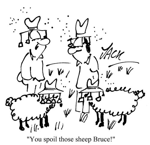 'You spoil those sheep Bruce!'