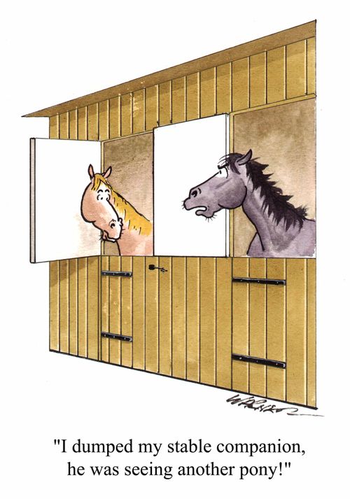 "I dumped my stable companion, he was seeing another pony!"