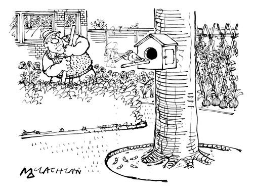 Gardener watching a bird smoking a cigarette outside his birdbox