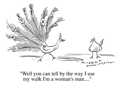"Well you can tell by the way I use my walk I'm a woman's man..."