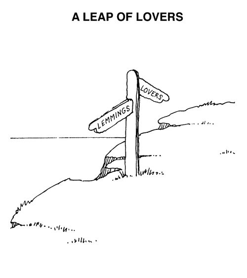 A leap of lovers