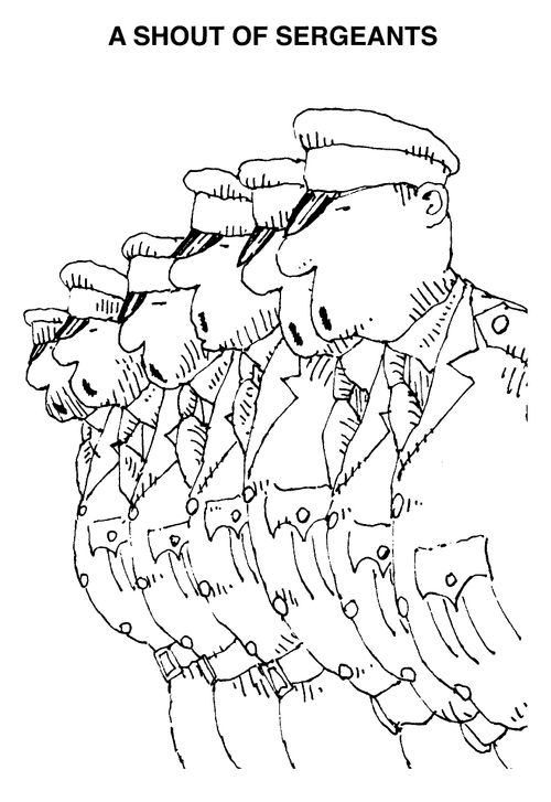 A shout of sergeants