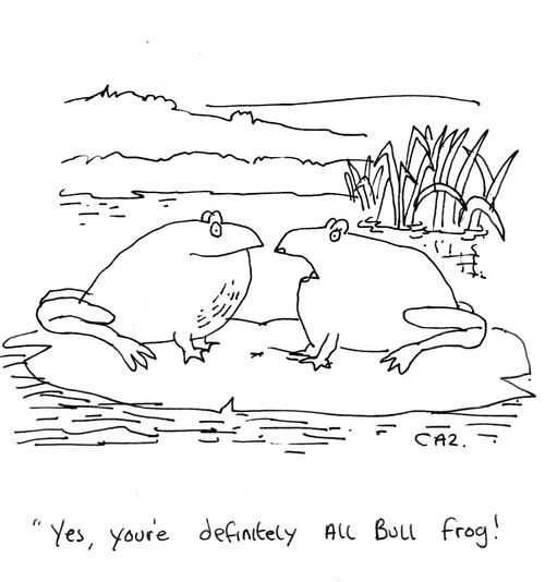 'Yes, you're definitely all bull frog!'