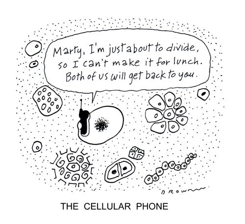The cellular phone.