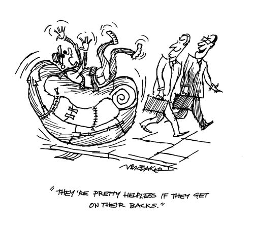 'They're pretty helpless if they get stuck on their backs.'