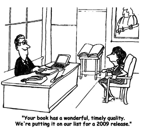 'Your book has a wonderful, timely quality. We're putting it on our list for a 2009 release.'