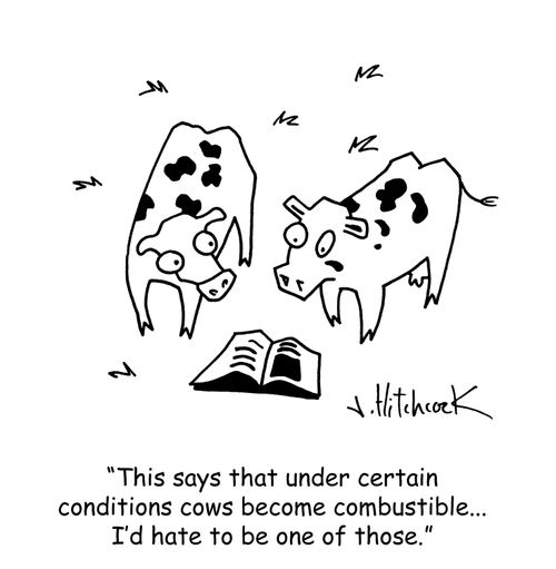 'This says that under certain conditions cows become combustible... I'd hate to be one of those.'