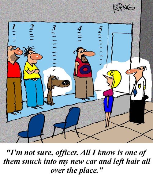 'I'm not sure, officer.  All I know is one of them snuck into my new car and left hair all over the place.'