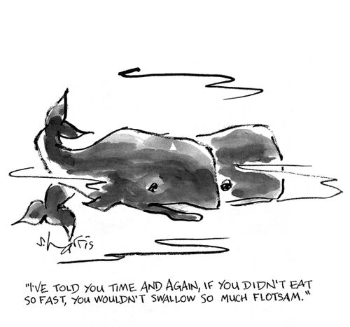 'I've told you time and again, if you didn't eat so fast, you wouldn't swallow so much floatsam.'