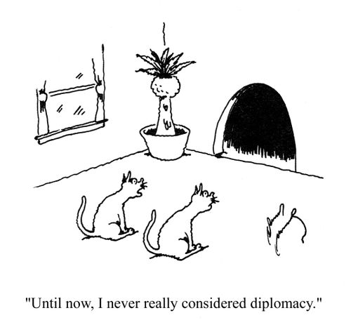 'Until now, I never really considered diplomacy.'