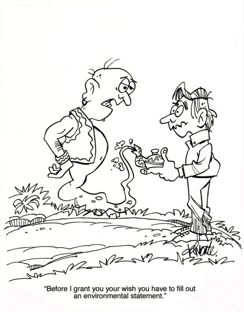 'Before I grant you your wish you have to fill out an environmental statement.'