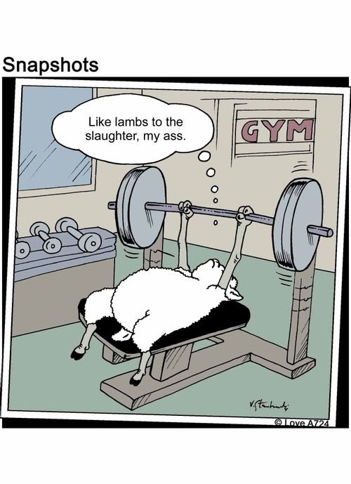 Like lambs to the slaughter, my ass.