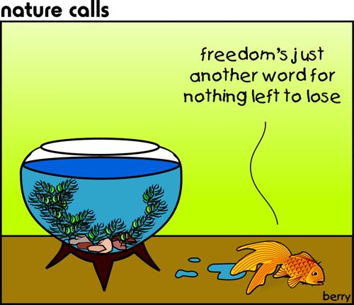 "Freedom's just another word for nothing left to lose."
