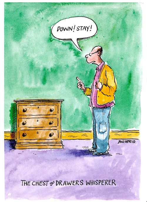 The Chest of Drawers Whisperer.