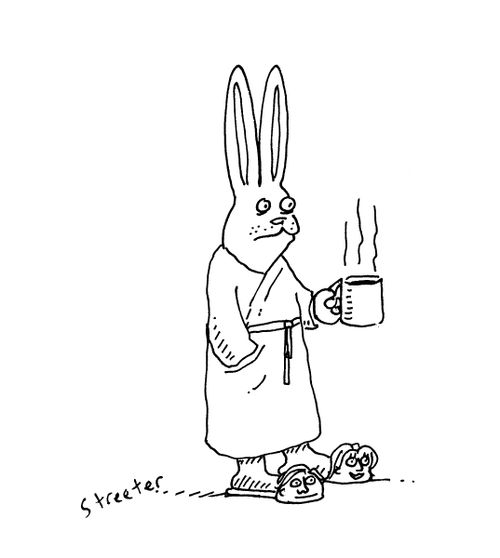 Bunny in People Slippers.