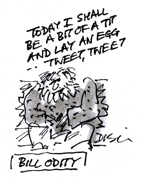 Bill Odity 'Today I shall be a bit of a tit and lay an egg...tweet, tweet!' 