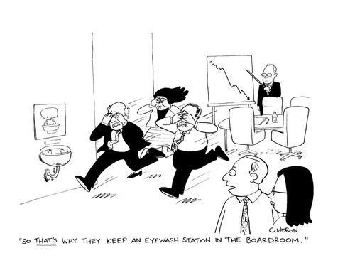 'So that's why they keep an eyewash station in the boardroom.'