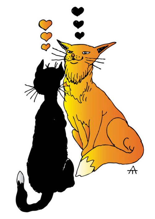 Cat Romance