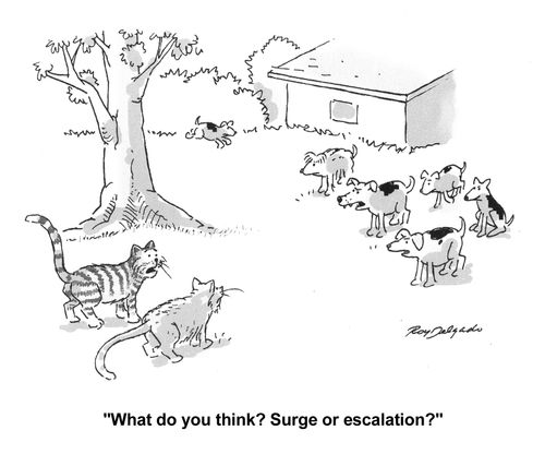 'What do you think? Surge or escalation?'