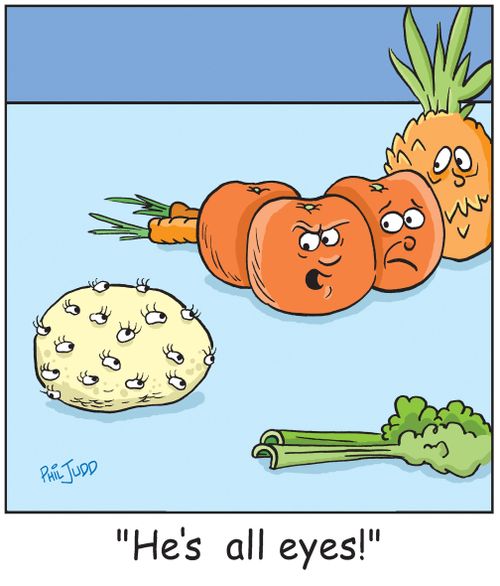 'He's all eyes!'