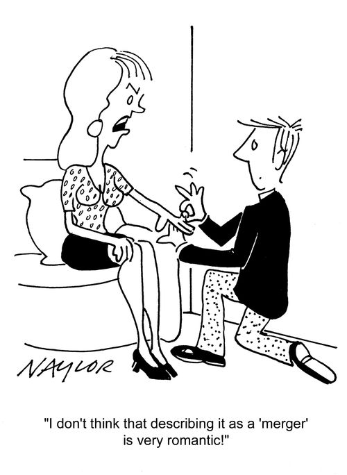 'I don't think that describing it as a 'merger' is very romantic!'