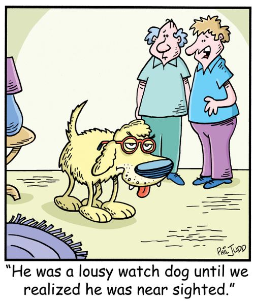 'He was a lousy watch dog until we realized he was near sighted.'