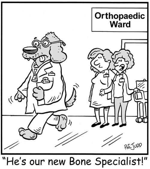 'He's our new Bone Specialist!'