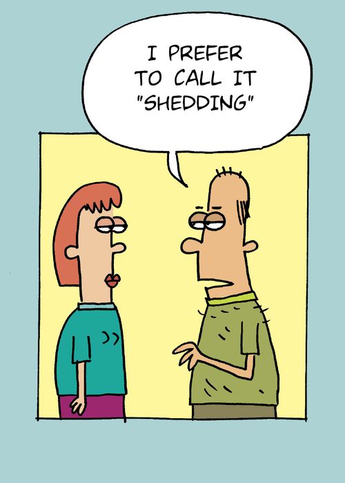 'I prefer to call it 'shedding'.'