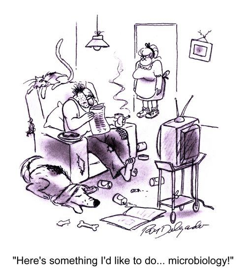 'Here's something I'd like to do... microbiology!'