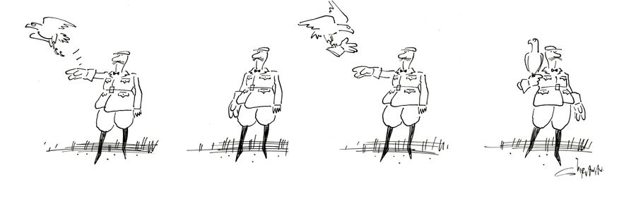 Pet Bird.