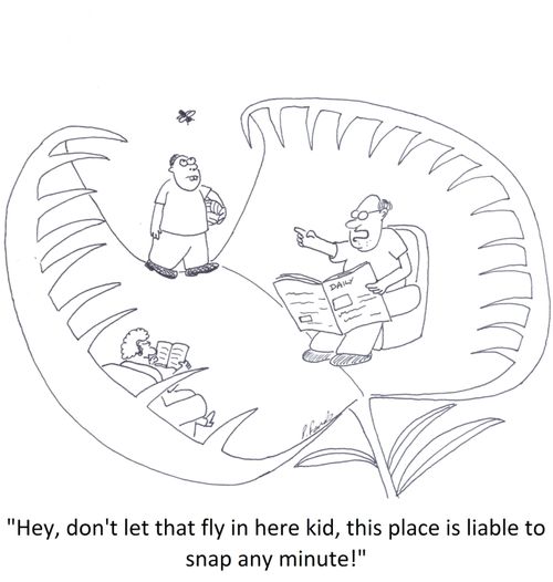 'Hey, don't let that fly in here kid, this place is liable to snap any minute!'
