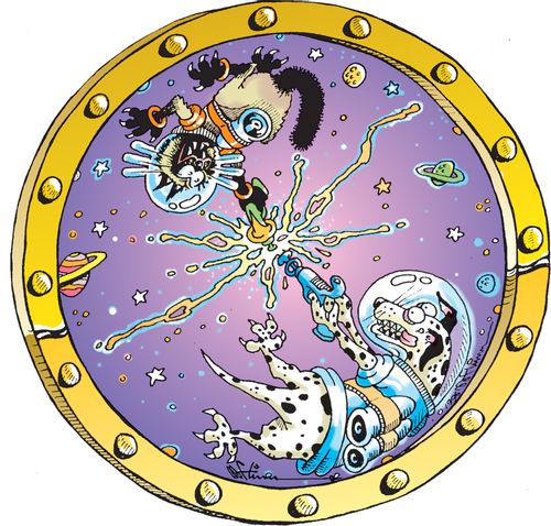 Cat and Dog Fighting in Space