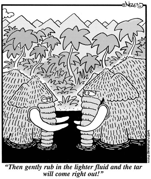 'Then gently rub in the lighter fluid, and the tar will come right out!'