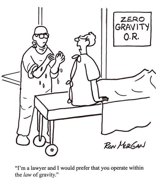 'I'm a lawyer and I would prefer that you operate within the law of gravity.'