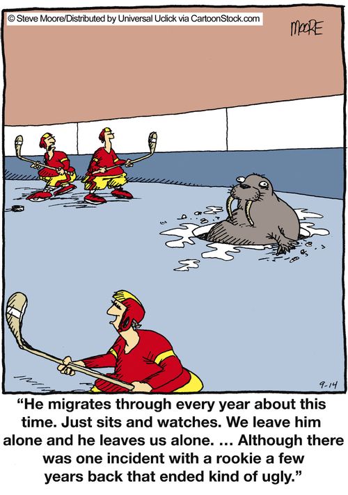'He migrates through every year about this time. Just sits there and watches. We leave him alone and he leaves us alone...'