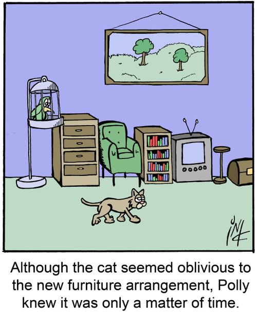 Although the cat seemed oblivious tot the new furniture arrangement, Polly knew it was only a matter of time.