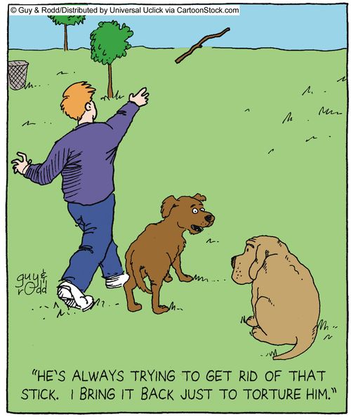'He's always trying to get rid of that stick. I bring it back just to torture him.'
