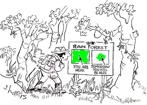 Rain forest: 'You are here - tomorrow you will be here'