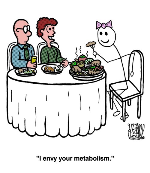 'I envy your metabolism.'