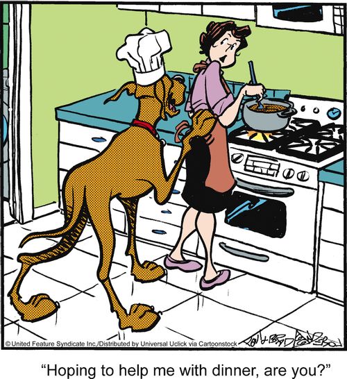 'Hoping to help me with dinner, are you?'