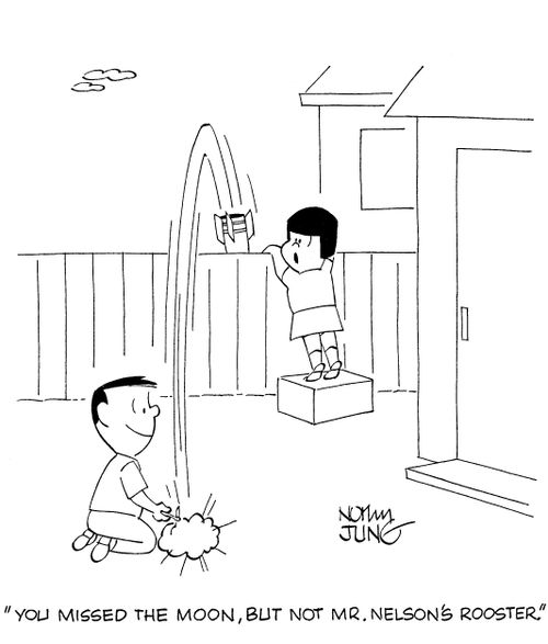 'You missed the moon, but not Mr. Nelson's rooster.'