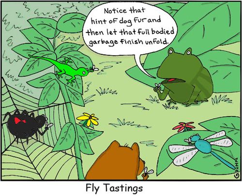 Fly Tastings: 'Notice that hint of dog fur and then let that full bodied garbage finish unfold.'